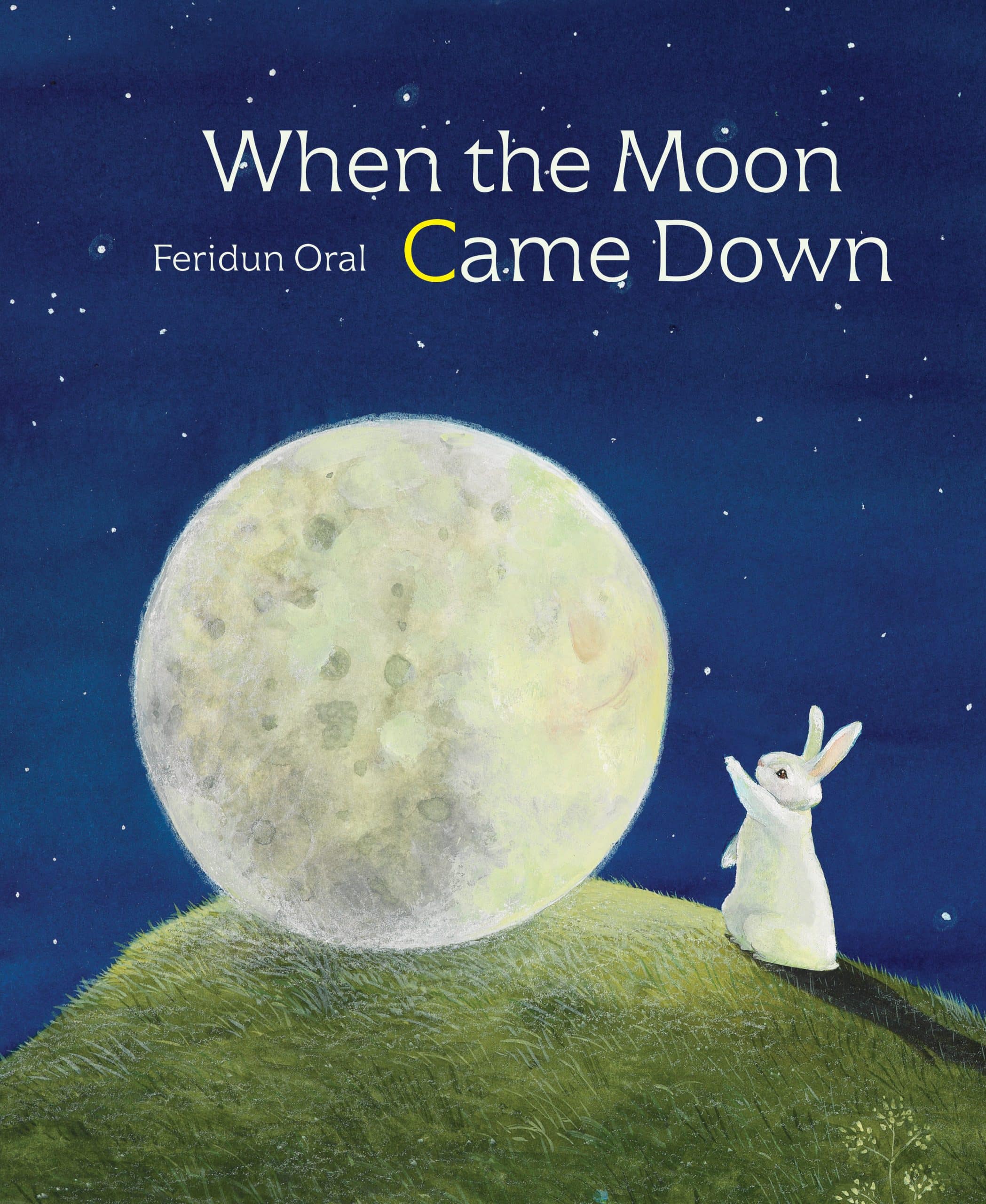 9789888341764 When the Moon Came Down