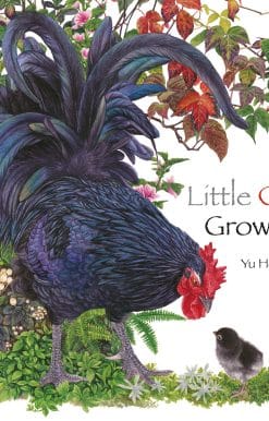 Little Chick Grows Up