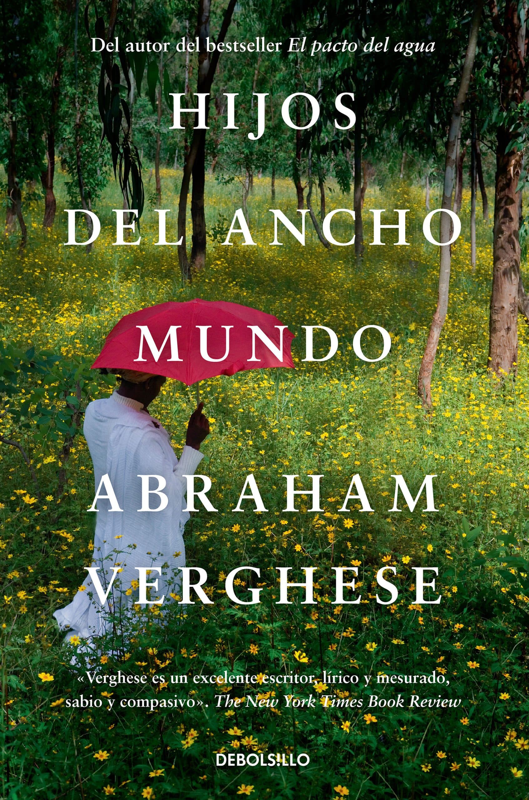 Hijos del ancho mundo / Cutting for Stone: