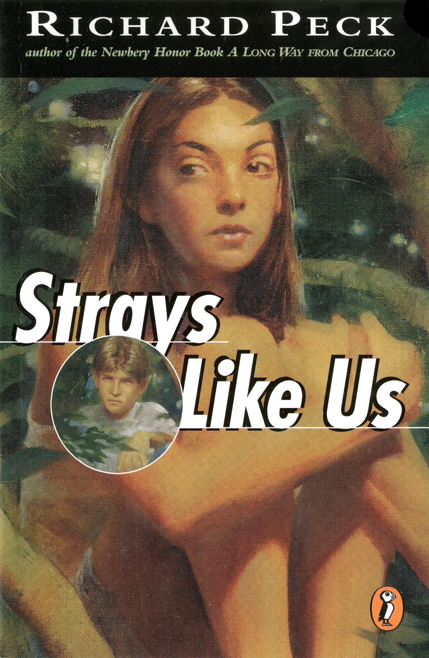 9780141306193 Strays Like Us