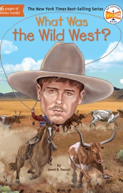 What Was the Wild West?