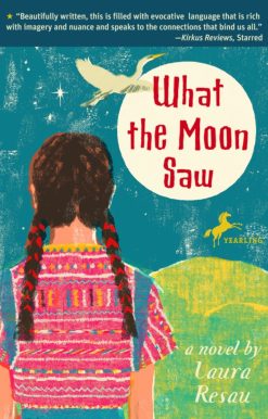 What the Moon Saw