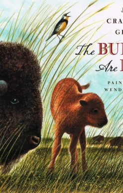 The Buffalo Are Back
