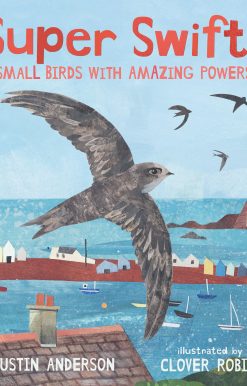 Super Swifts: Small Birds with Amazing Powers