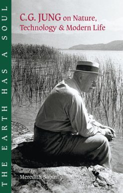 The Earth Has a Soul: C.G. Jung on Nature, Technology and Modern Life