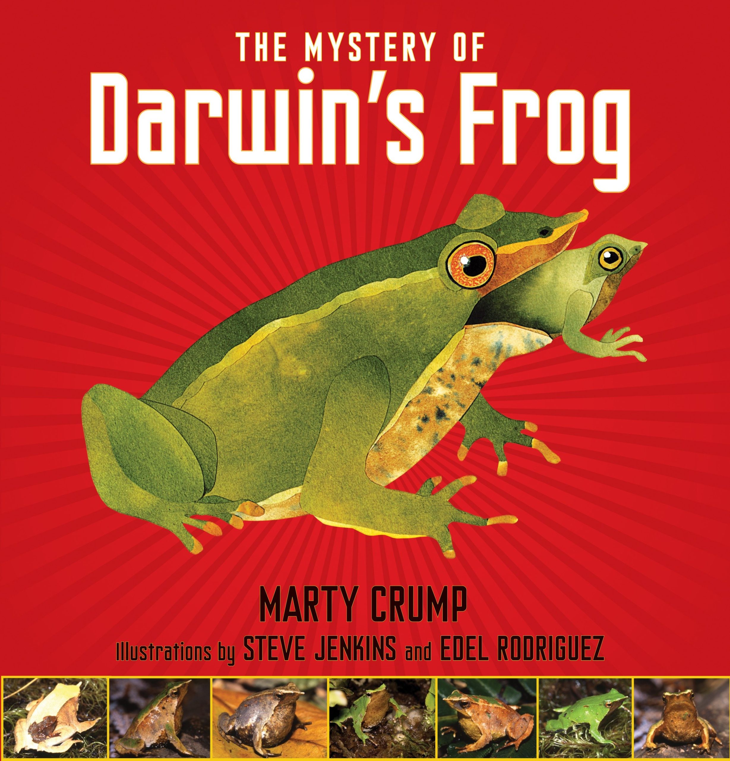 9781590788646 The Mystery of Darwin's Frog