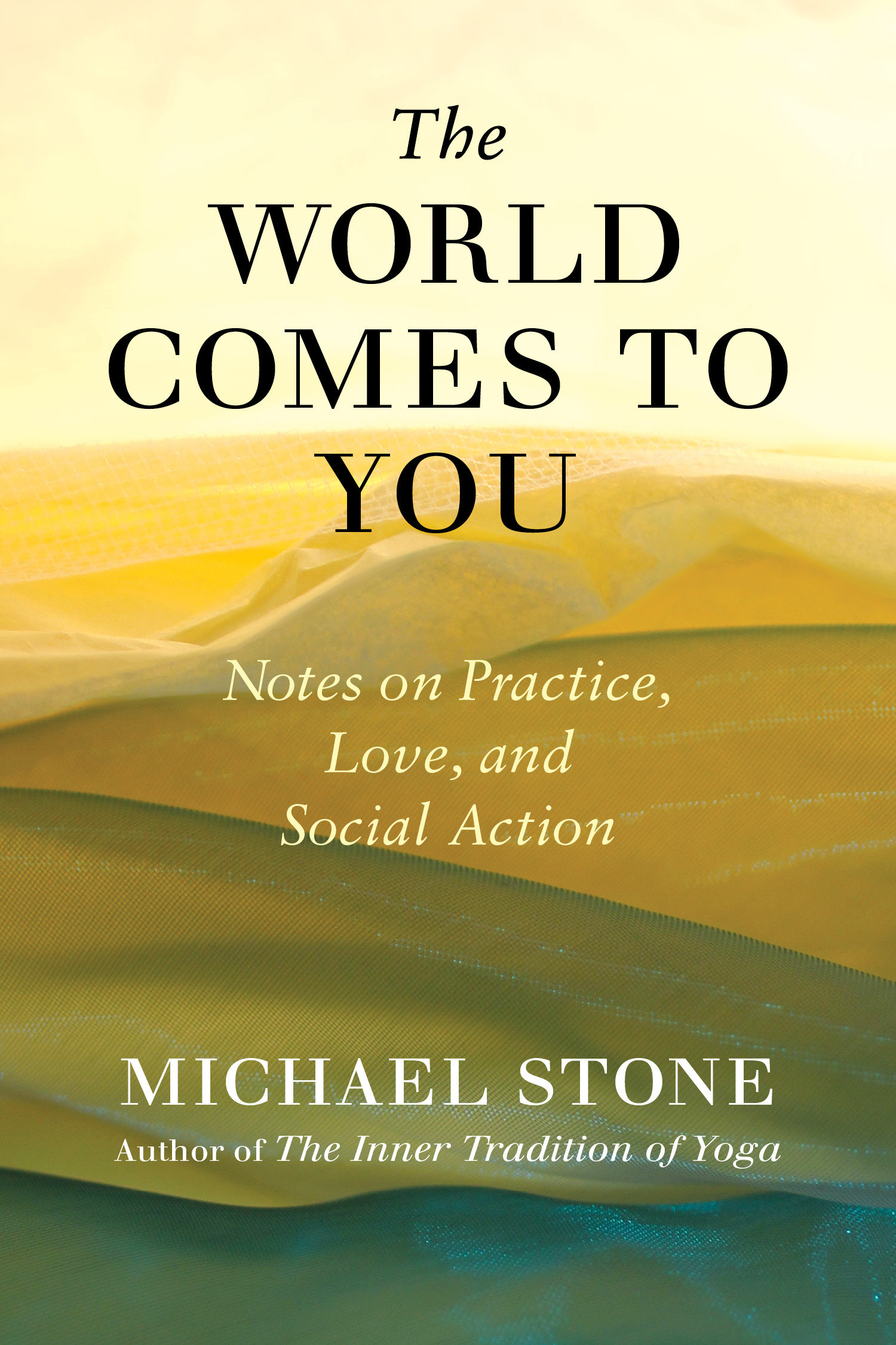 9781611806113 The World Comes to You: Notes on Practice, Love, and Social Action
