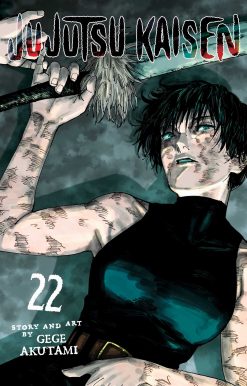Jujutsu Kaisen, Vol. 22