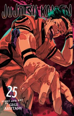 Jujutsu Kaisen, Vol. 25