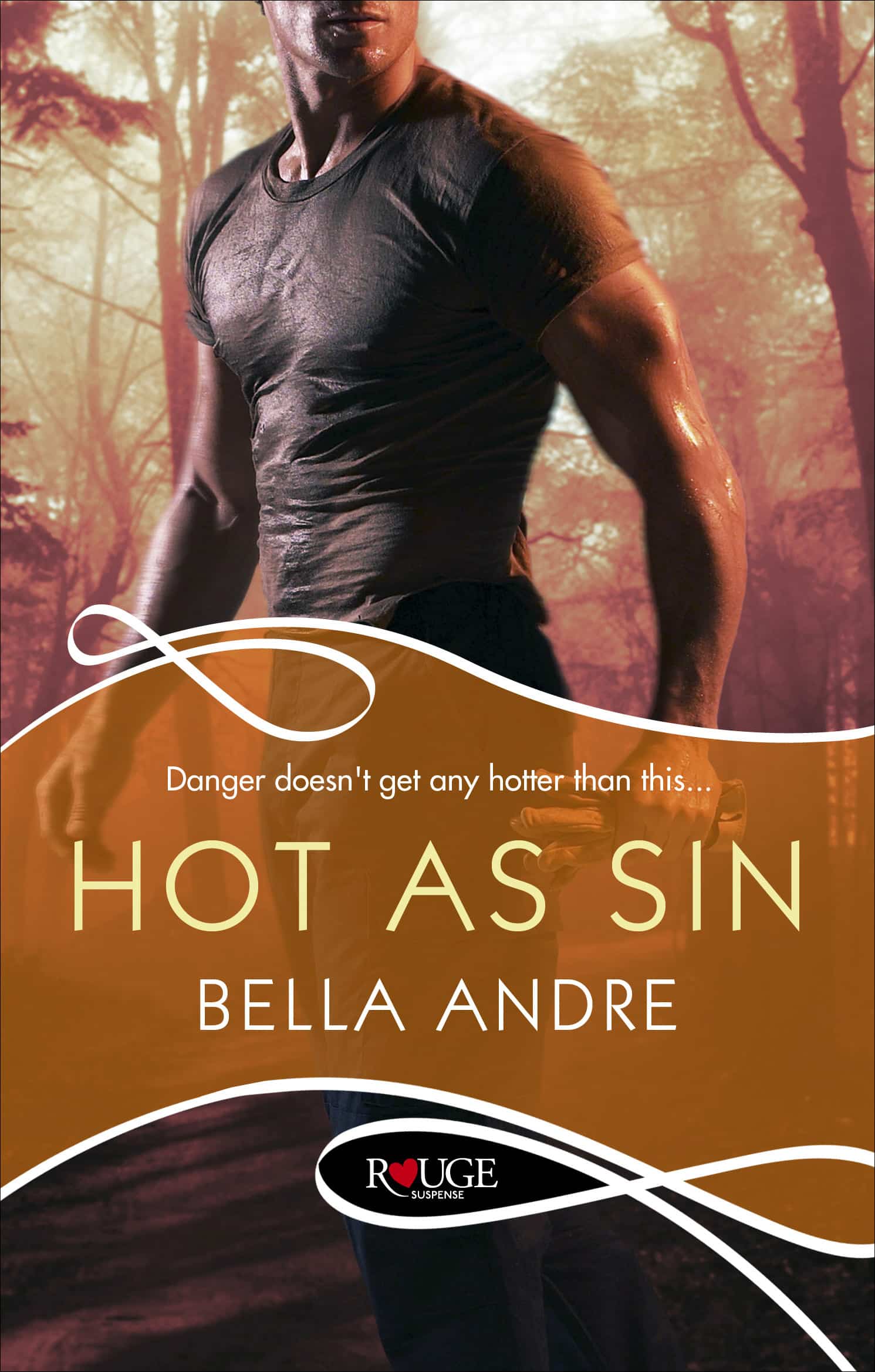LEAD Technologies Inc. V1.01 Hot As Sin: A Rouge Suspense novel