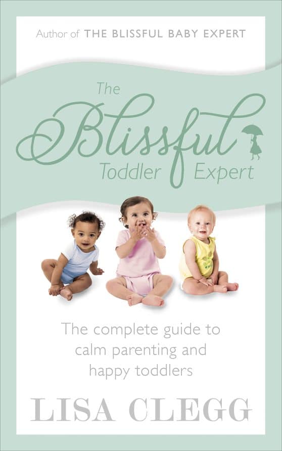 The Blissful Toddler Expert: The complete guide to calm parenting and happy toddlers