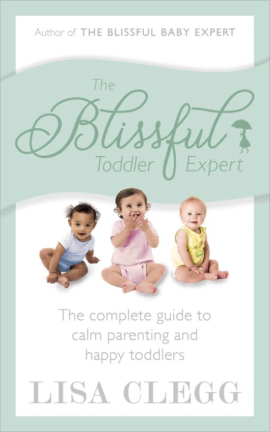 The Blissful Toddler Expert: The complete guide to calm parenting and happy toddlers
