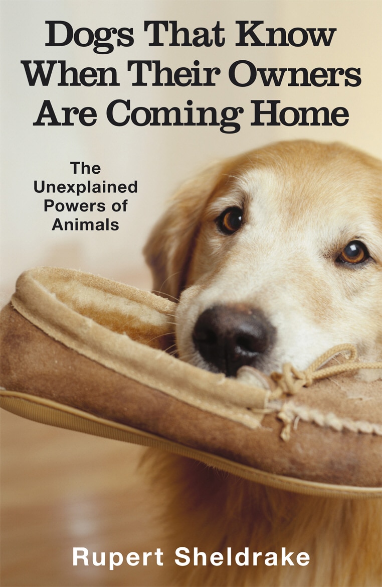 LEAD Technologies Inc. V1.01 Dogs That Know When Their Owners Are Coming Home: And Other Unexplained Powers of Animals