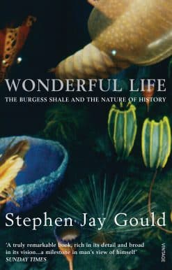 Wonderful Life