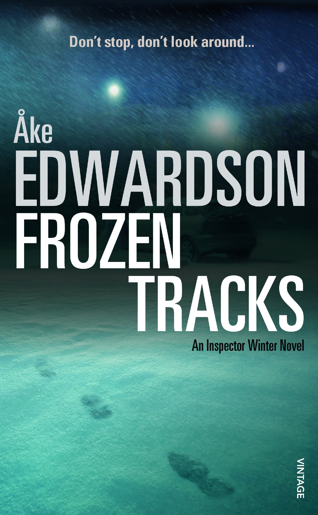 LEAD Technologies Inc. V1.01 Frozen Tracks