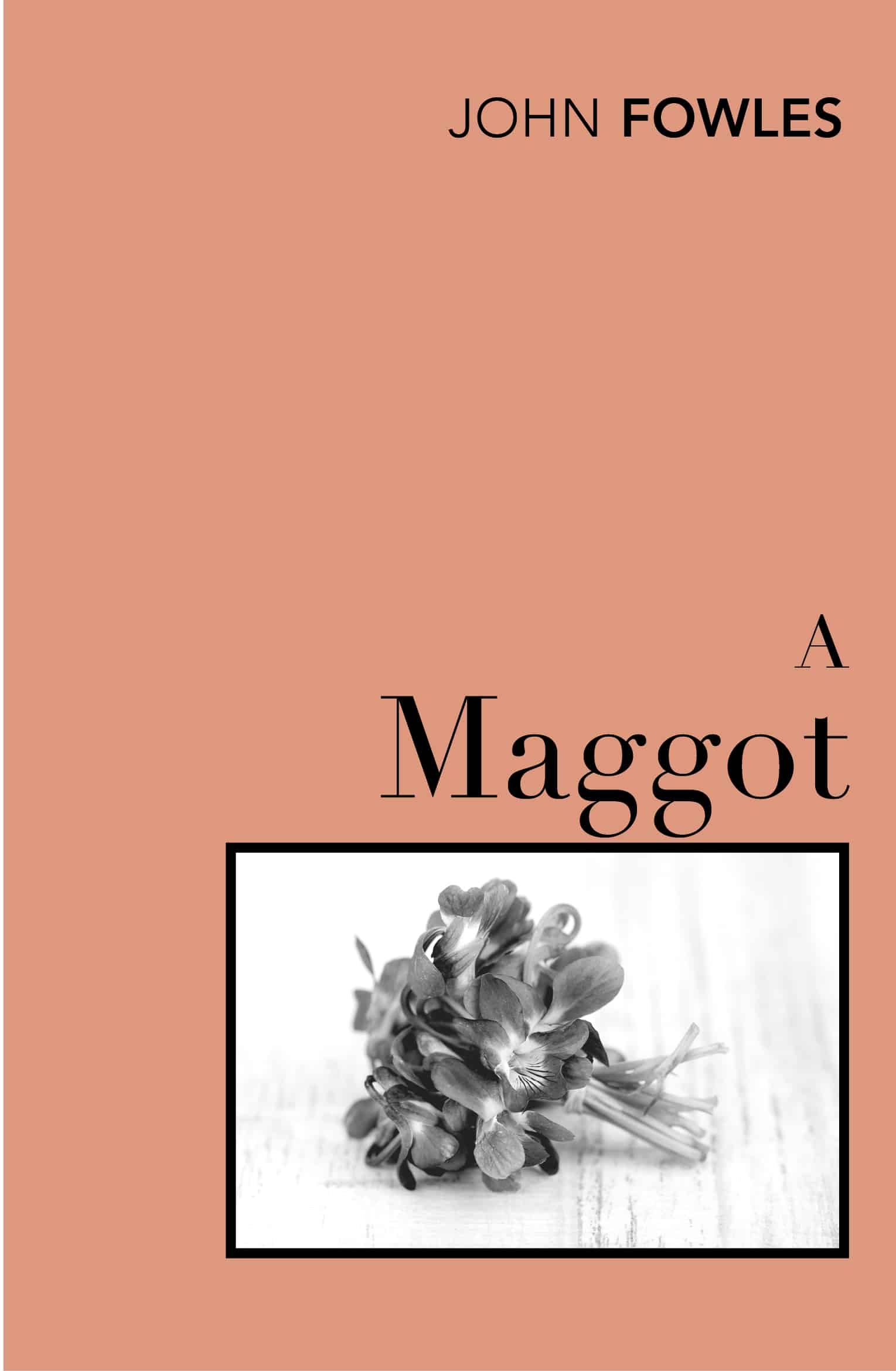 9780099480419 A Maggot