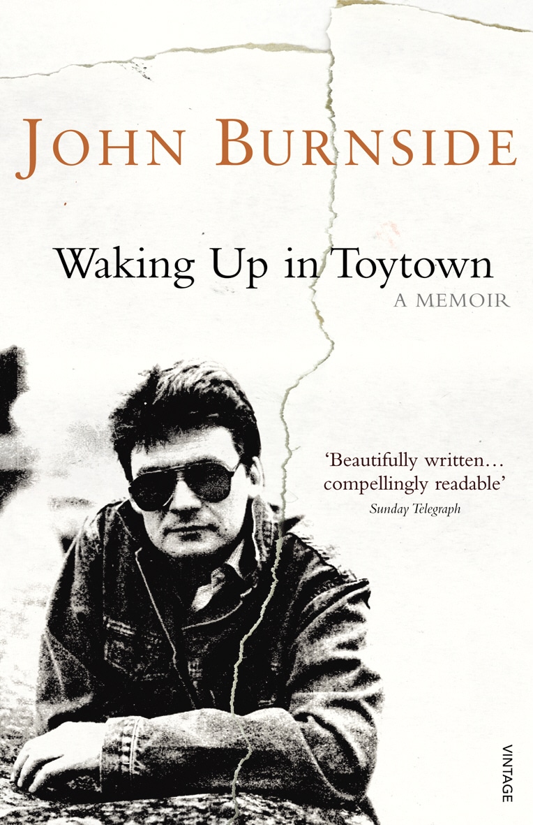 LEAD Technologies Inc. V1.01 Waking Up in Toytown: A Memoir