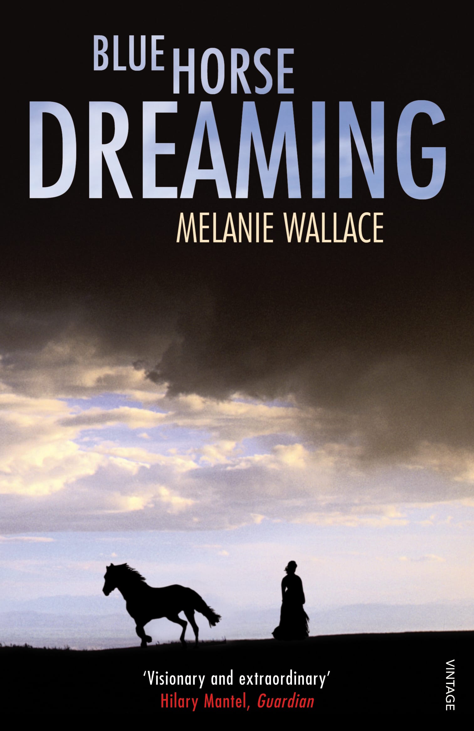 LEAD Technologies Inc. V1.01 Blue Horse Dreaming