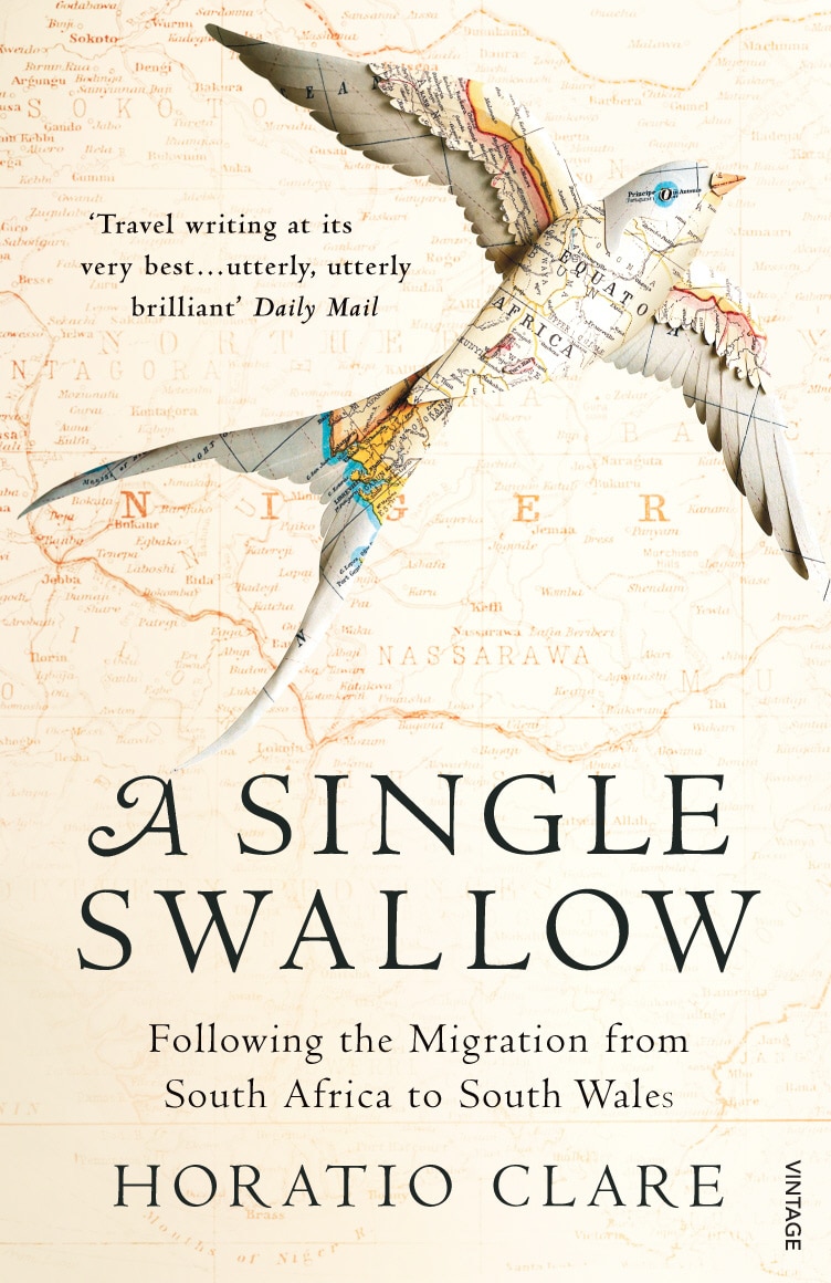 LEAD Technologies Inc. V1.01 A Single Swallow: Following An Epic Journey From South Africa To South Wales