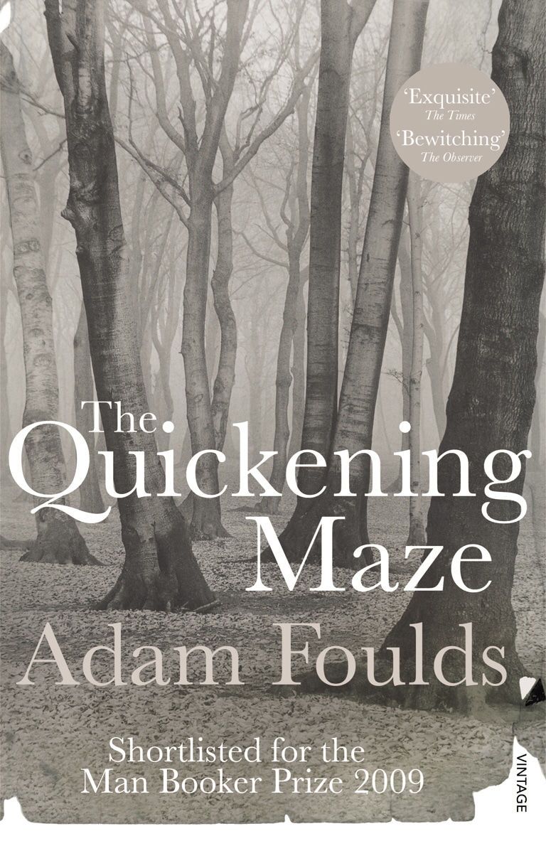 LEAD Technologies Inc. V1.01 The Quickening Maze