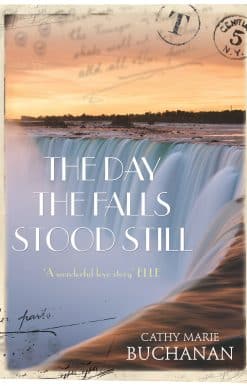 The Day the Falls Stood Still