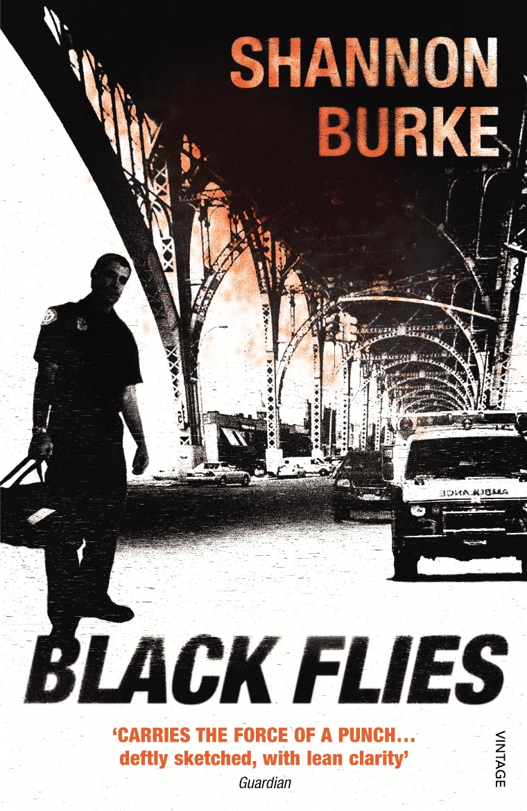 LEAD Technologies Inc. V1.01 Black Flies