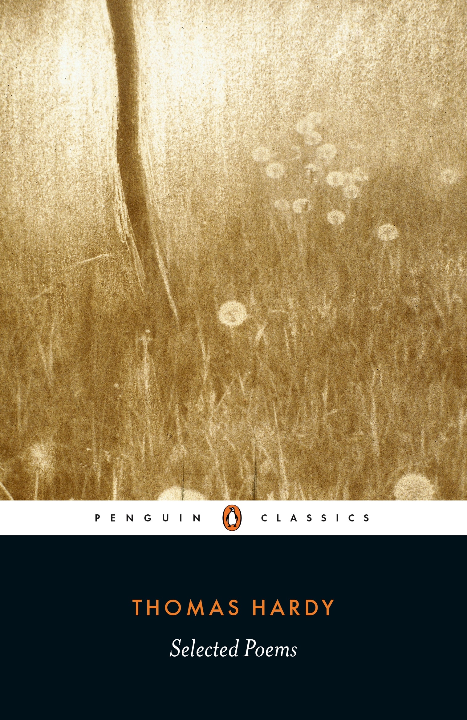 9780140433418 Selected Poems