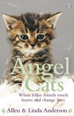 Angel Cats: When feline friends touch hearts and change lives