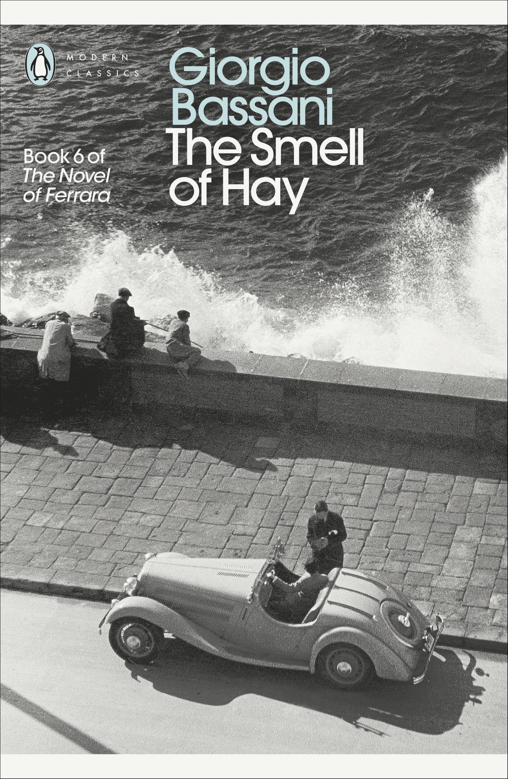 9780141192123 The Smell of Hay
