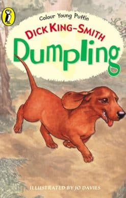 Dumpling