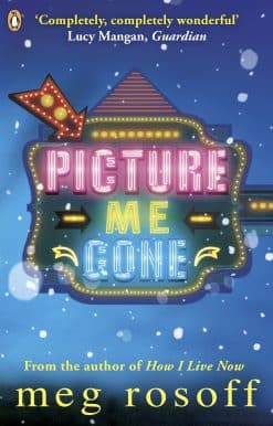 Picture Me Gone