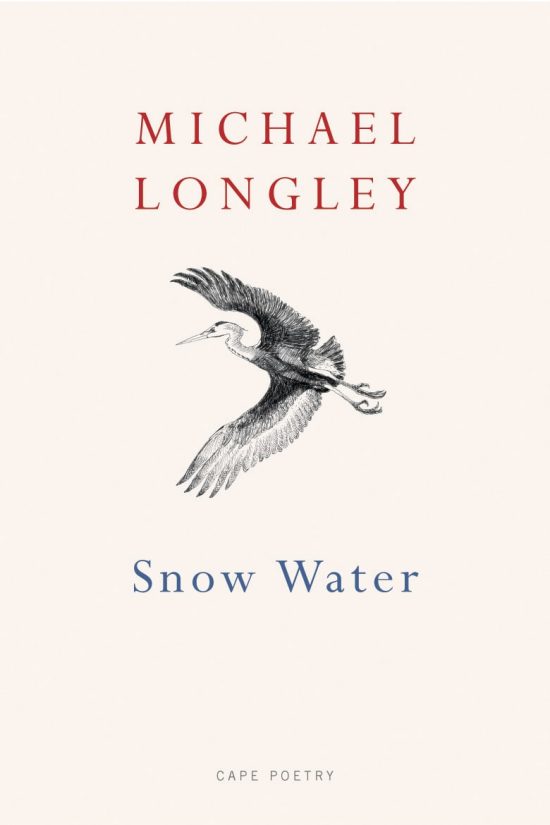 Snow Water