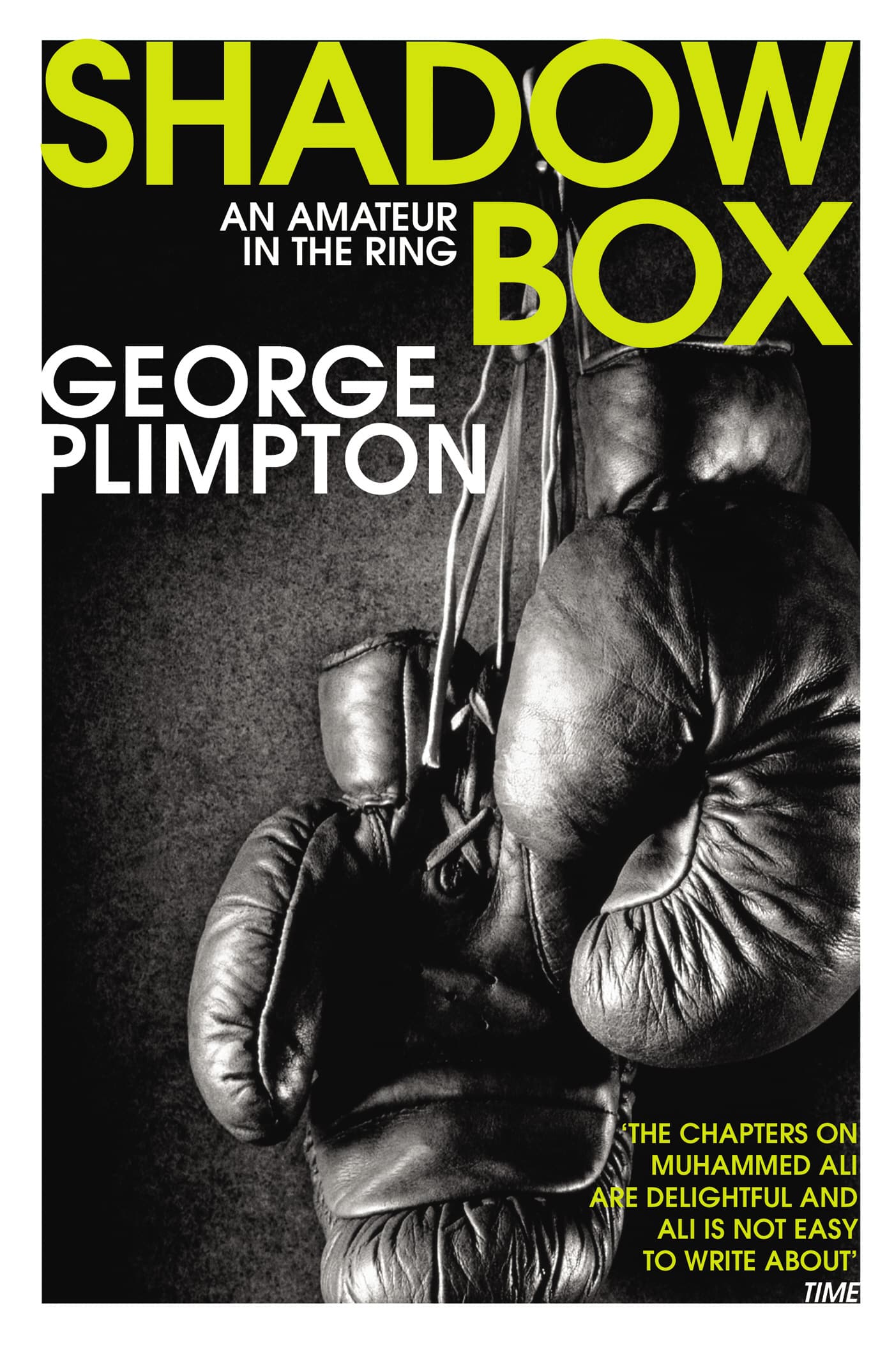 LEAD Technologies Inc. V1.01 Shadow Box: An Amateur in the Ring