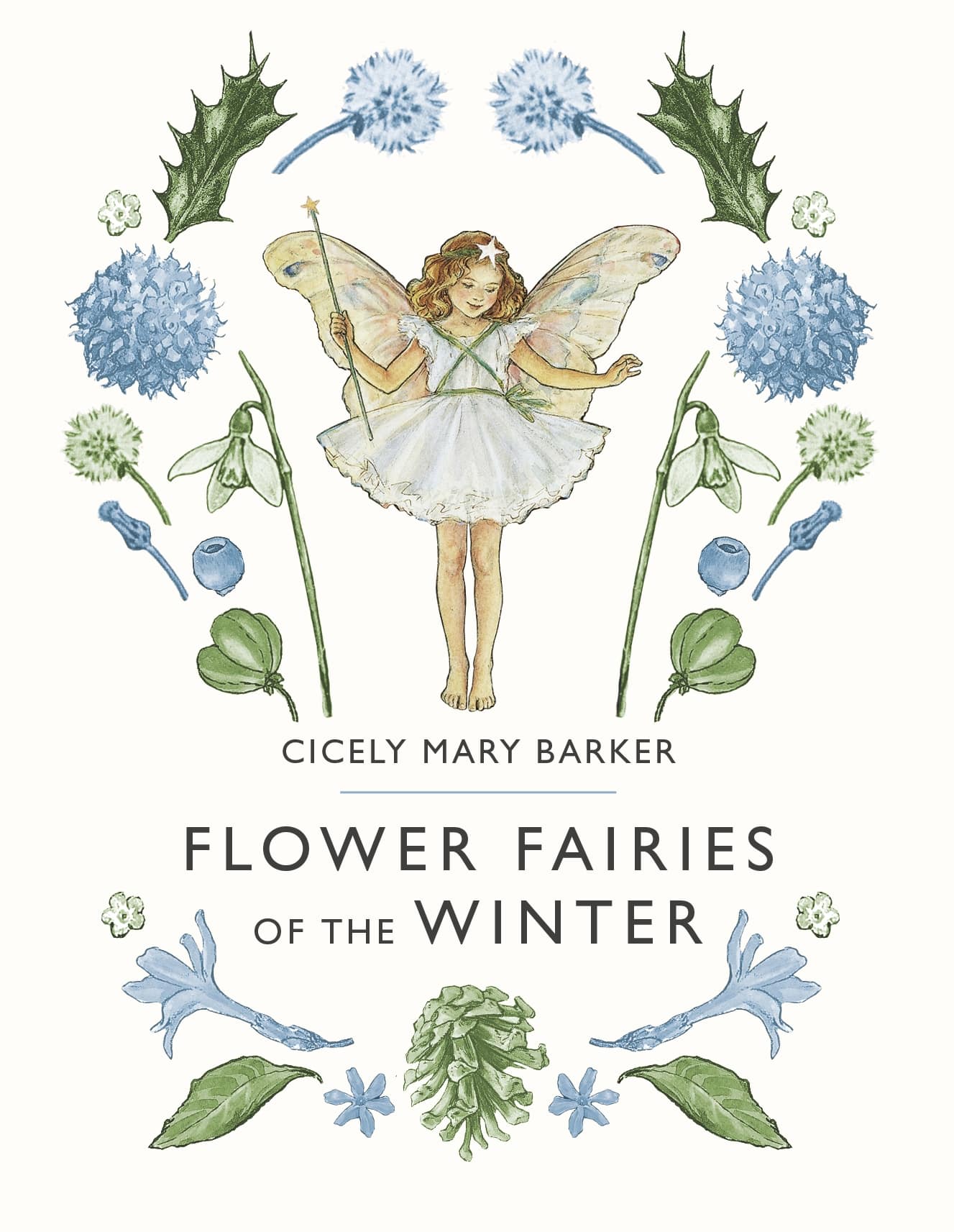 9780241284568 Flower Fairies of the Winter