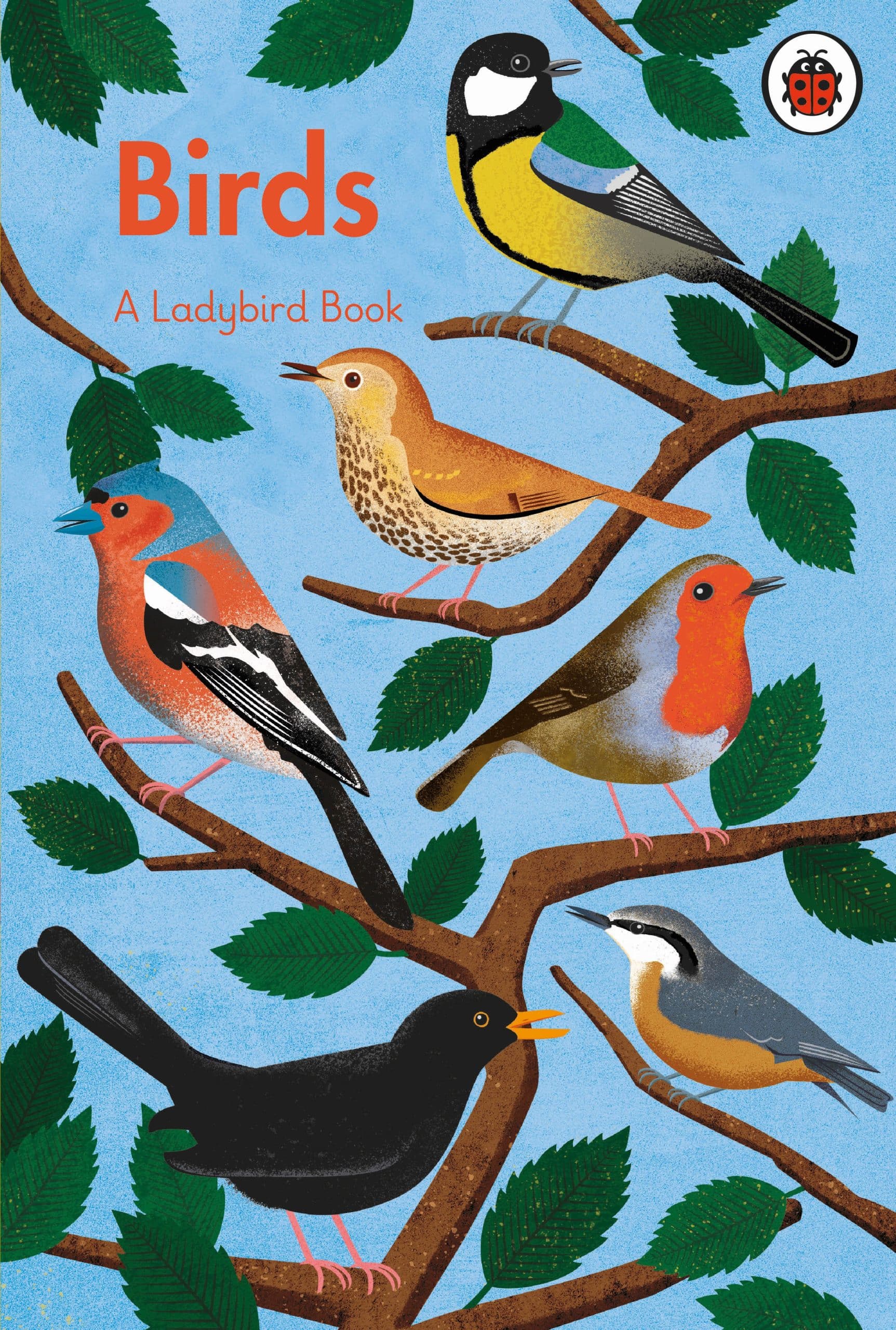 9780241626214 A Ladybird Book: Birds