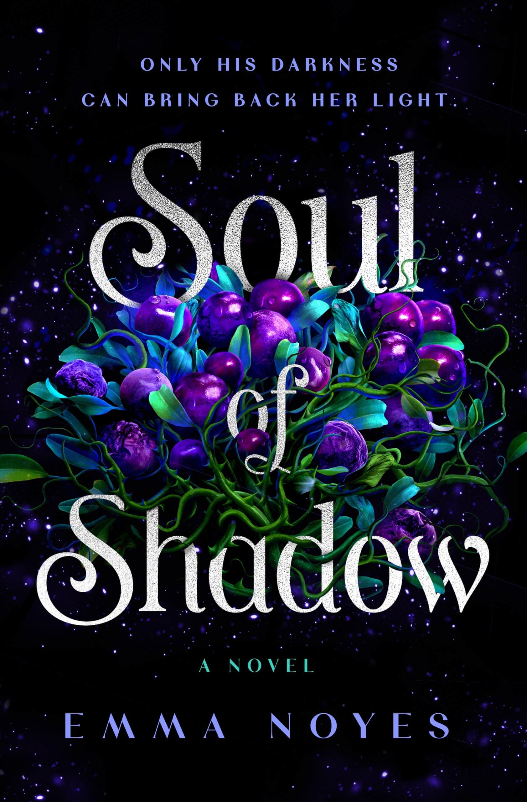9780241683880 Soul of Shadow