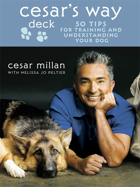 Cesar's Way Deck: 50 Tips for Training and Understanding Your Dog