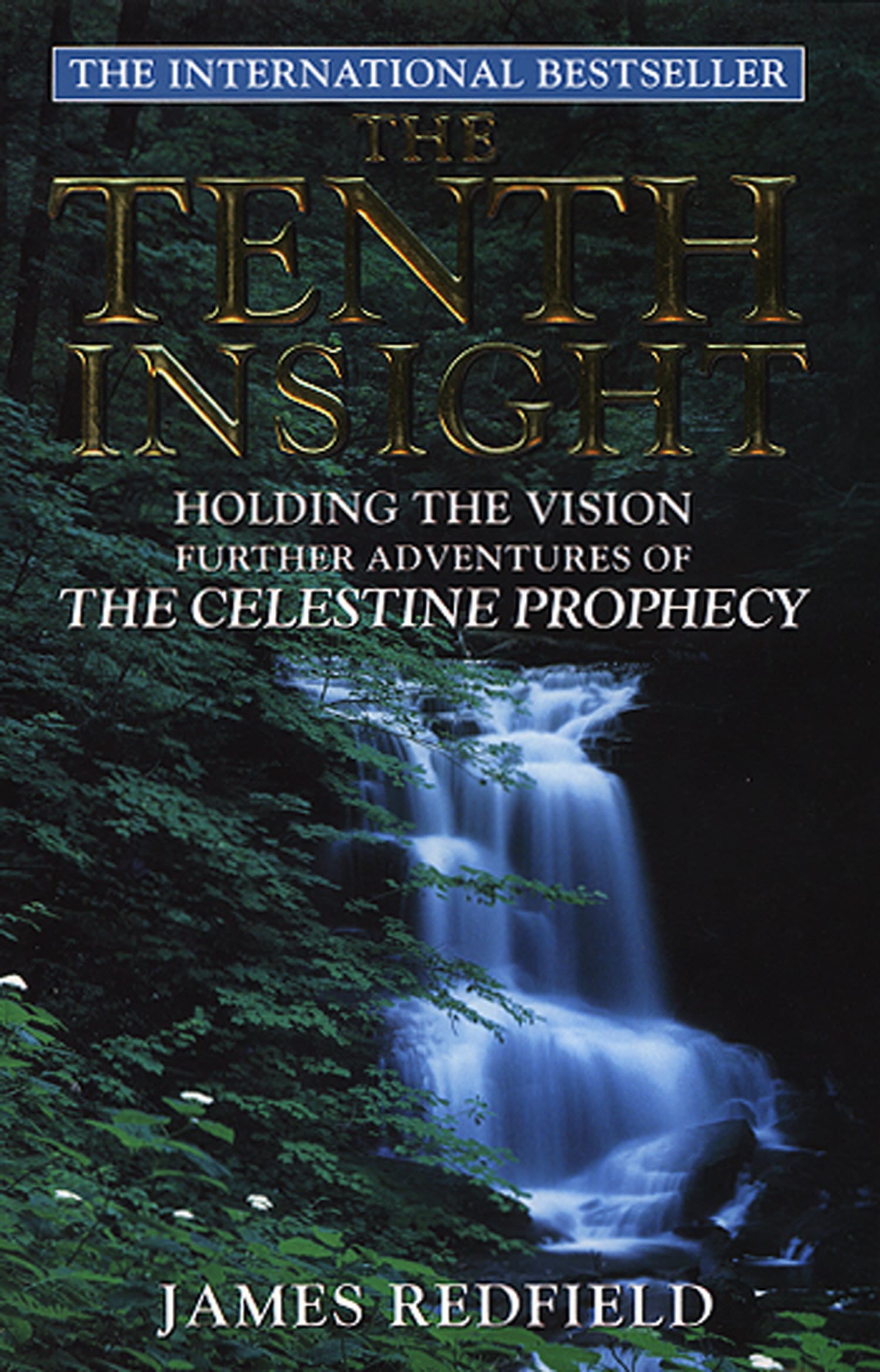 LEAD Technologies Inc. V1.01 The Tenth Insight: the follow up to the bestselling sensation The Celestine Prophecy