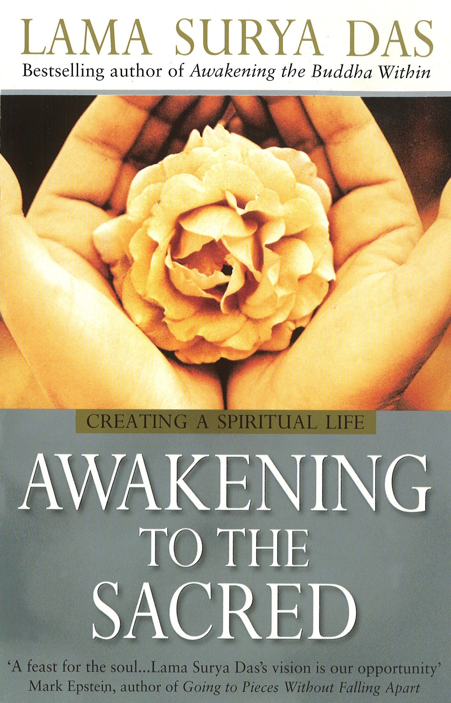 LEAD Technologies Inc. V1.01 Awakening To The Sacred