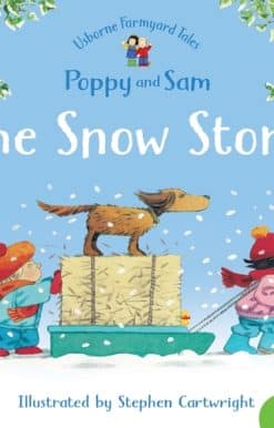 The Snow Storm