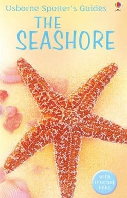 The Seashore