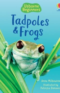 Tadpoles and Frogs