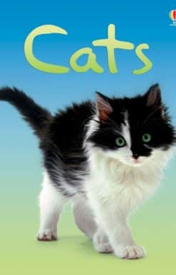 Cats