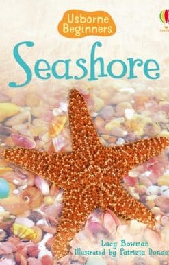 Seashore