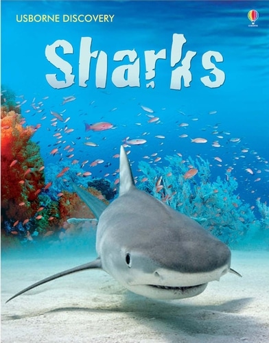9780746096413 Discovery Sharks