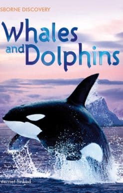 Discovery Whales and Dolphins