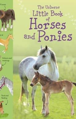 Little Book of Horses and Ponies