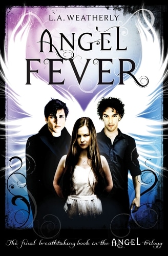 9781409522393 Angel Fever
