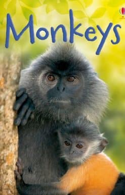 Monkeys