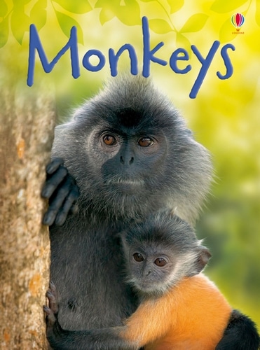 9781409523079 Monkeys